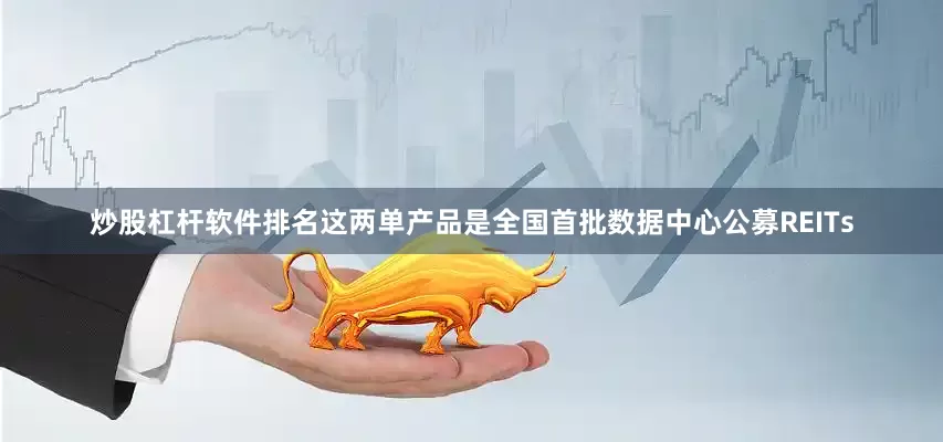 炒股杠杆软件排名这两单产品是全国首批数据中心公募REITs