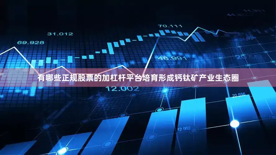 有哪些正规股票的加杠杆平台培育形成钙钛矿产业生态圈